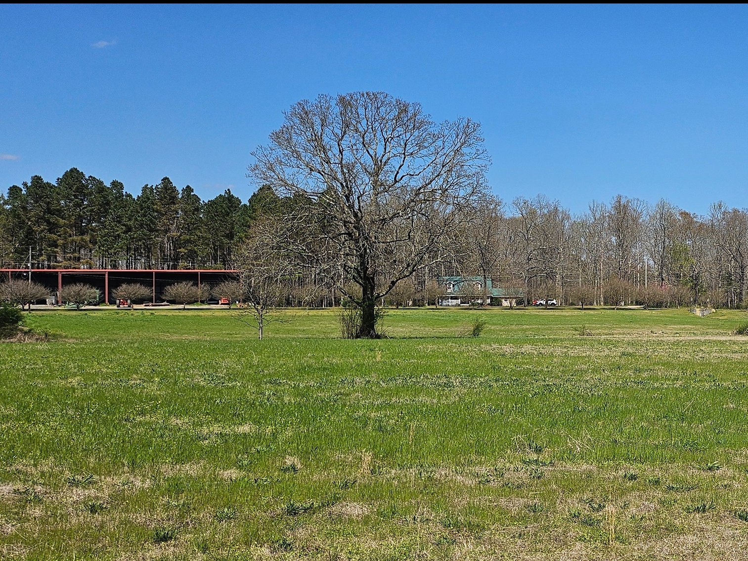 Image for Live Onsite Farm & Retirement Auction!  Jasper, AL!