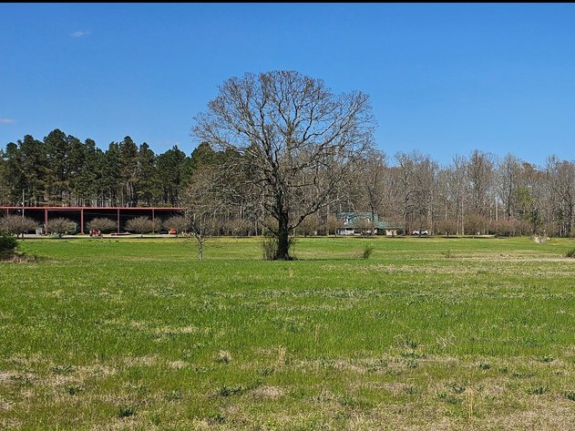Image for Live Onsite Farm & Retirement Auction!  Jasper, AL!