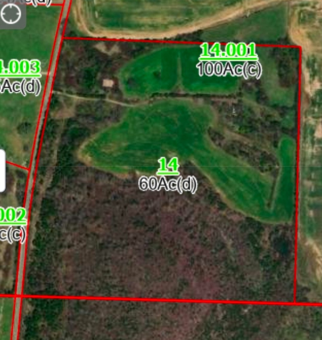 Image for Absolute Online Land Auction!  60 Acres+/- Mt. Hope, Alabama