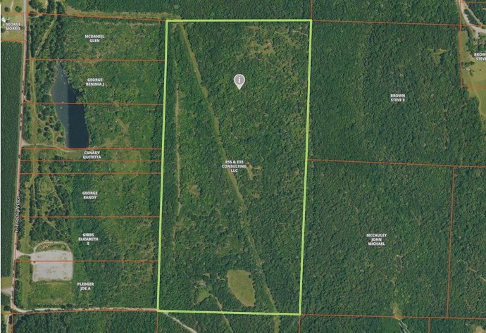 Image for Land Auction - 80+/- Acres Near Center Ridge, AR