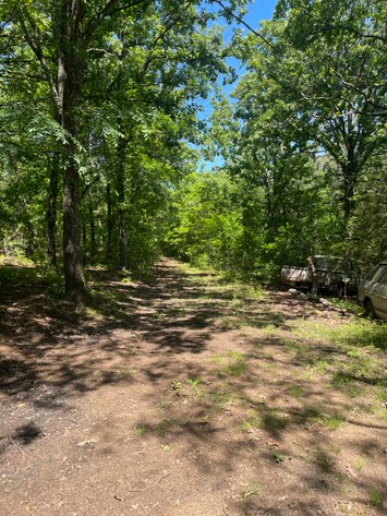 Image for Land Auction - 80+/- Acres Near Center Ridge, AR