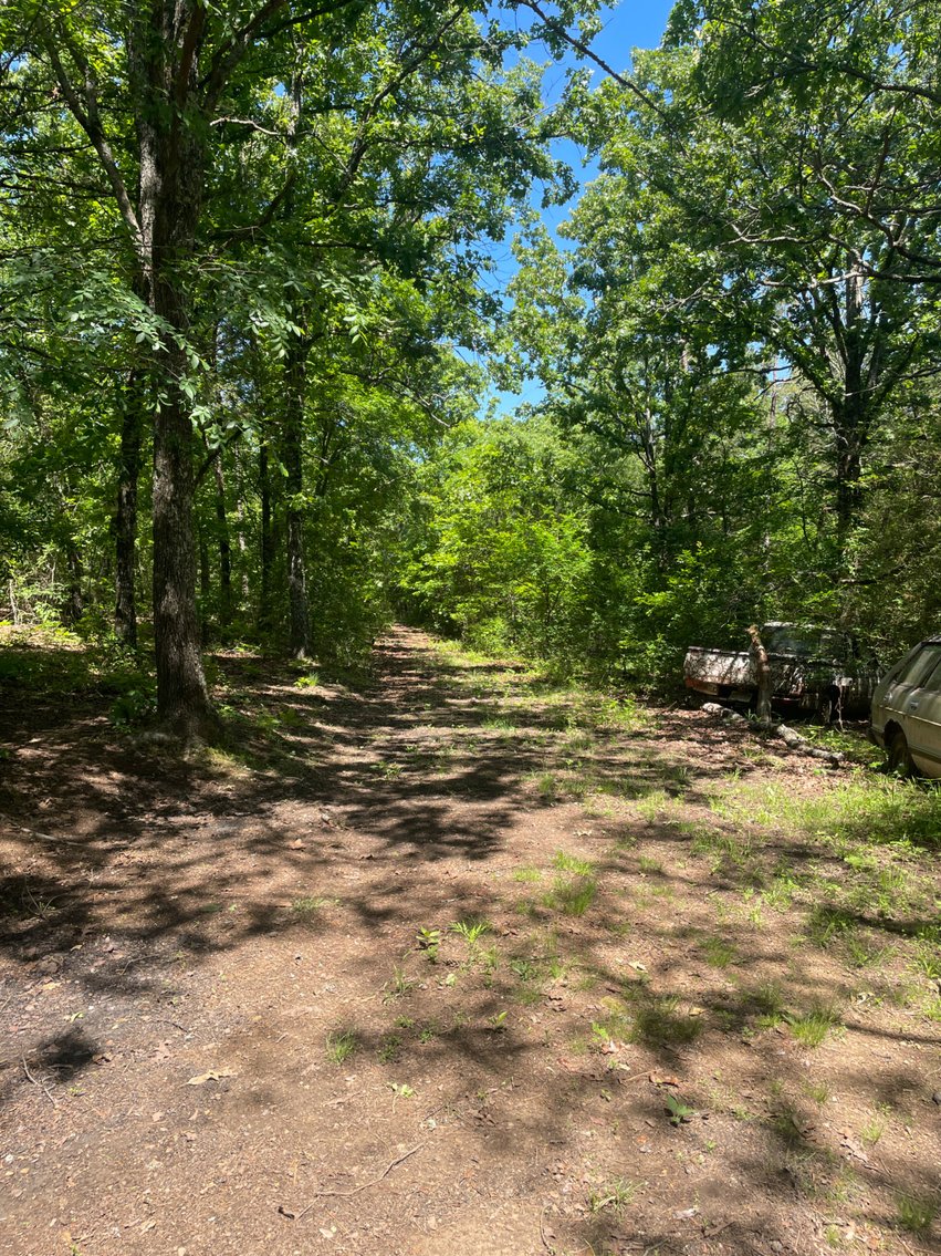 Image for Land Auction - 80+/- Acres Near Center Ridge, AR