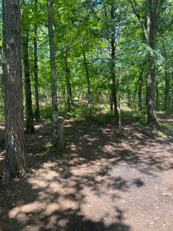 Image for Land Auction - 80+/- Acres Near Center Ridge, AR