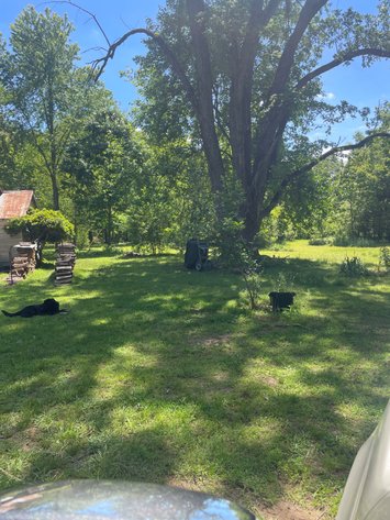 Image for Land Auction - 80+/- Acres Near Center Ridge, AR