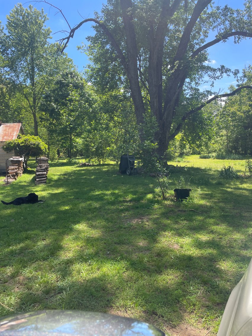 Image for Land Auction - 80+/- Acres Near Center Ridge, AR