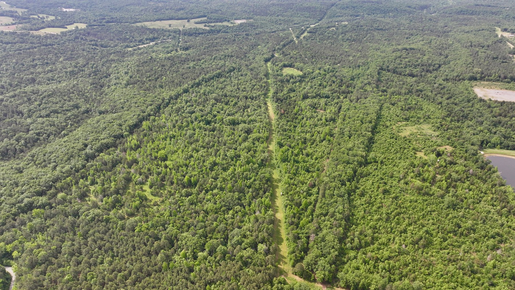Image for Land Auction - 80+/- Acres Near Center Ridge, AR