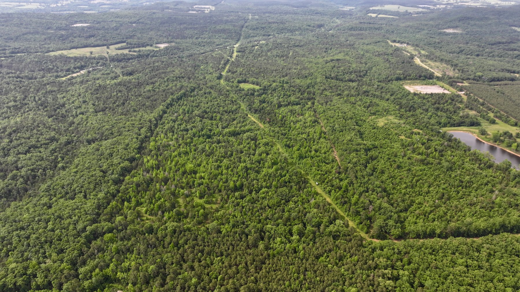 Image for Land Auction - 80+/- Acres Near Center Ridge, AR