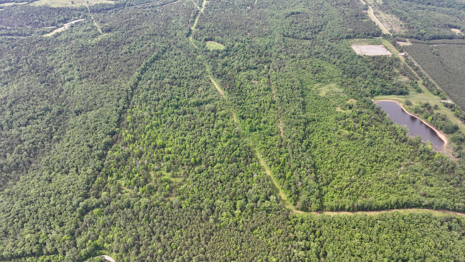 Image for Land Auction - 80+/- Acres Near Center Ridge, AR