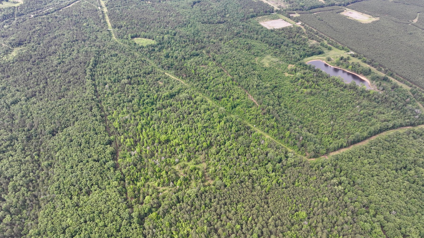 Image for Land Auction - 80+/- Acres Near Center Ridge, AR
