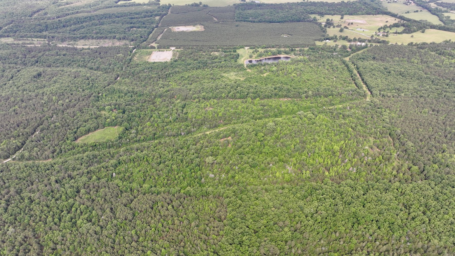 Image for Land Auction - 80+/- Acres Near Center Ridge, AR