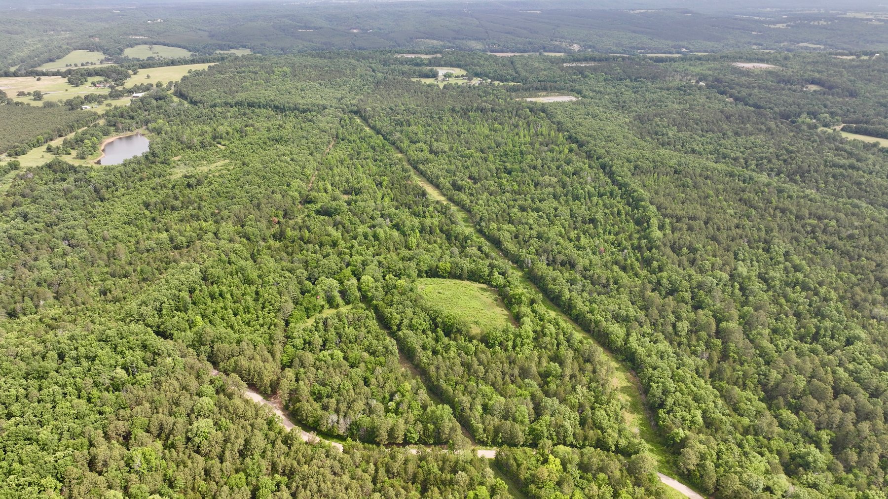 Image for Land Auction - 80+/- Acres Near Center Ridge, AR