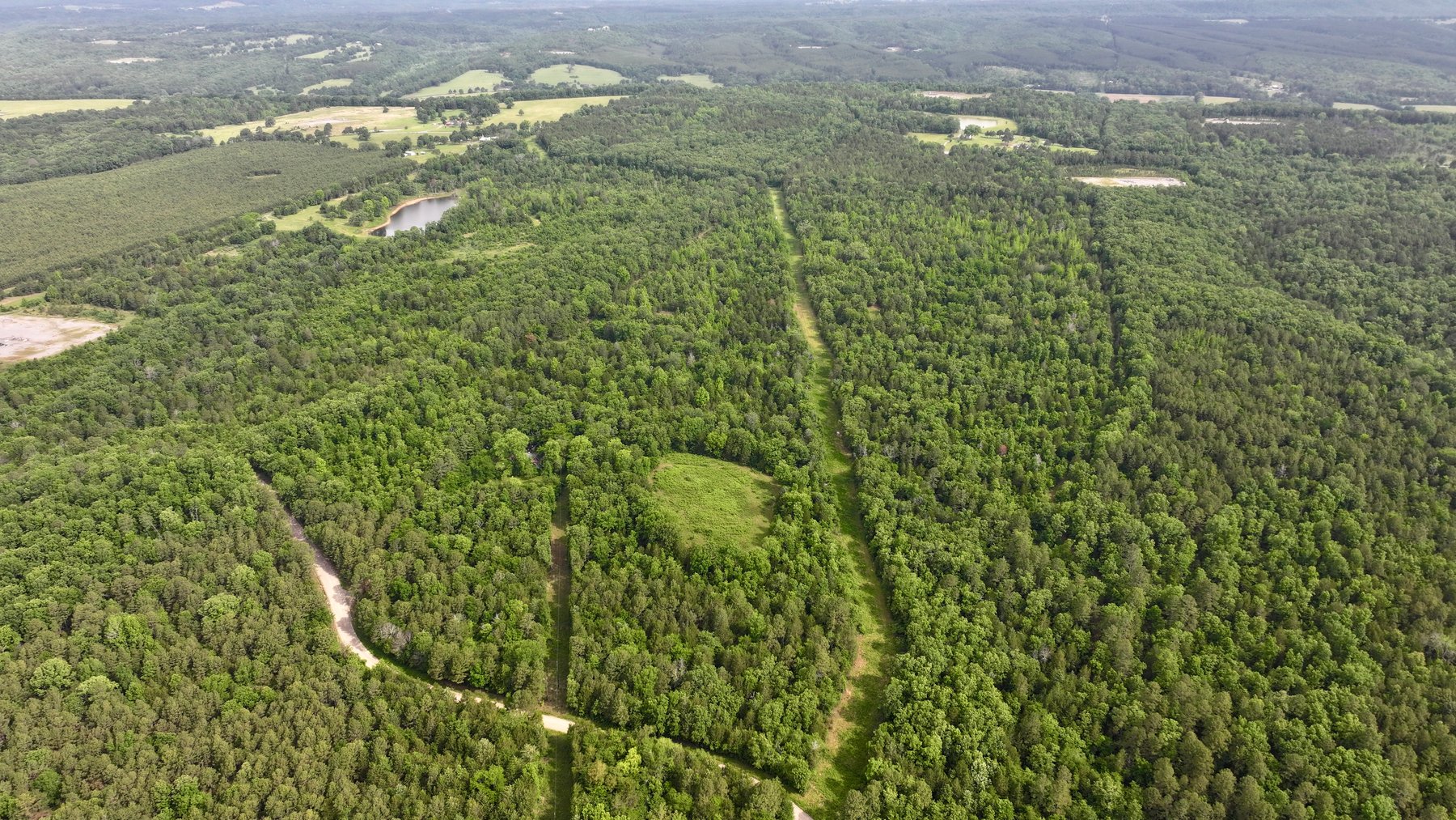 Image for Land Auction - 80+/- Acres Near Center Ridge, AR