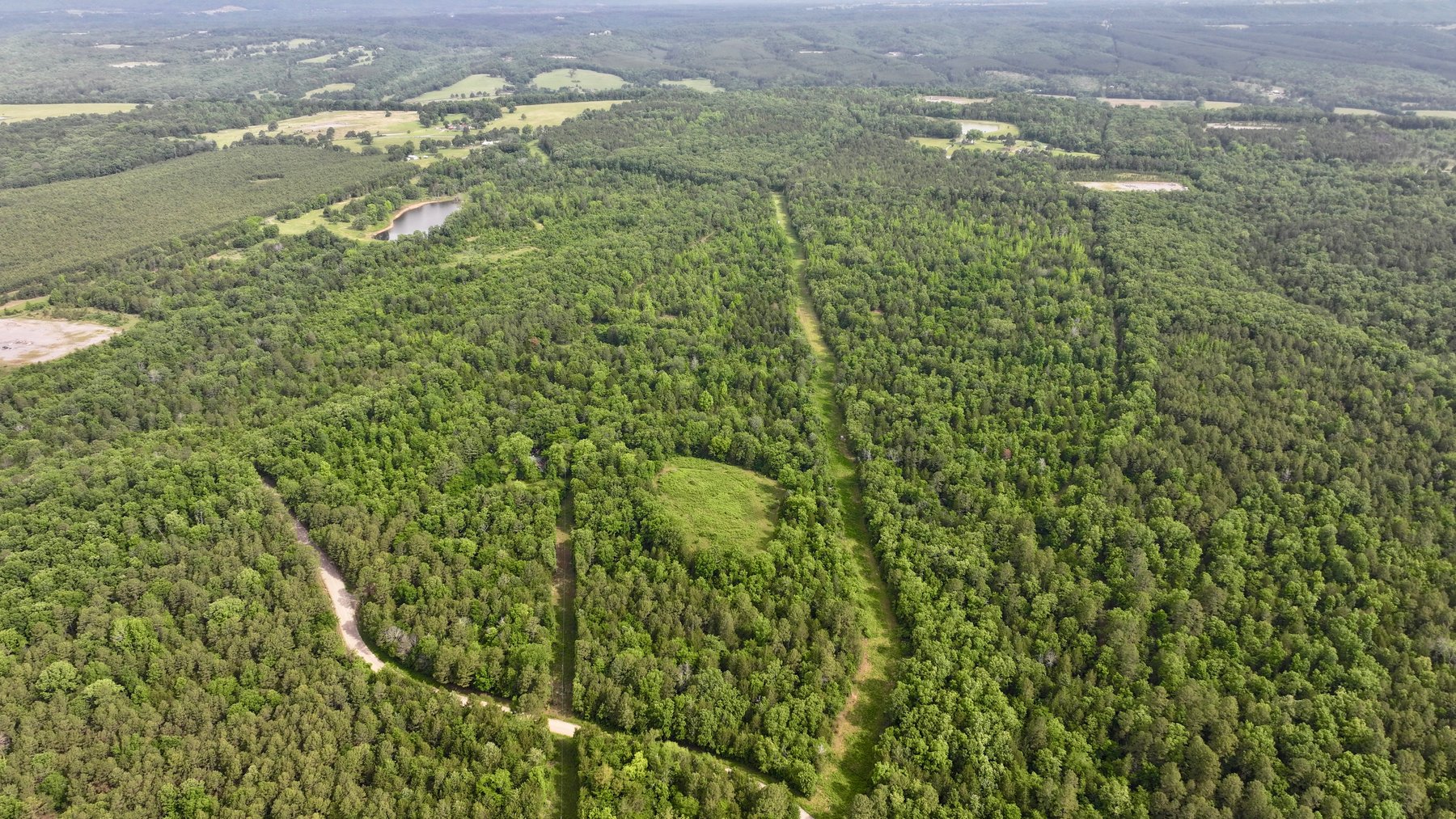 Image for Land Auction - 80+/- Acres Near Center Ridge, AR