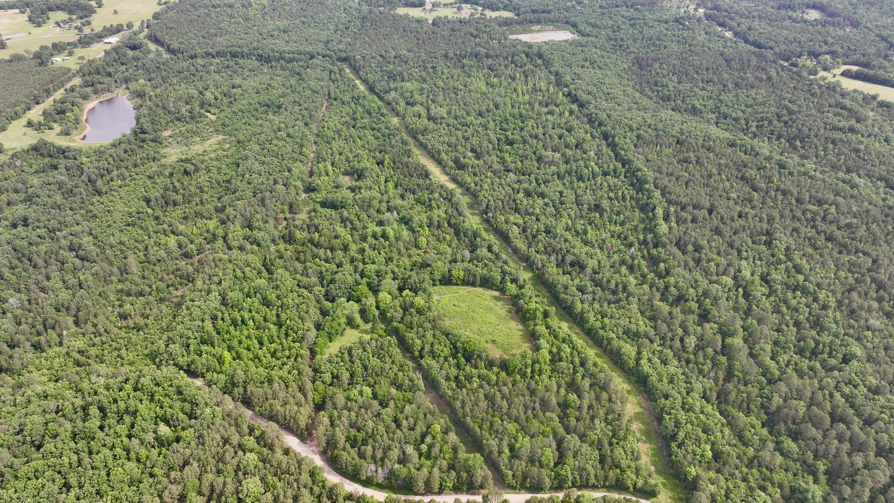 Image for Land Auction - 80+/- Acres Near Center Ridge, AR