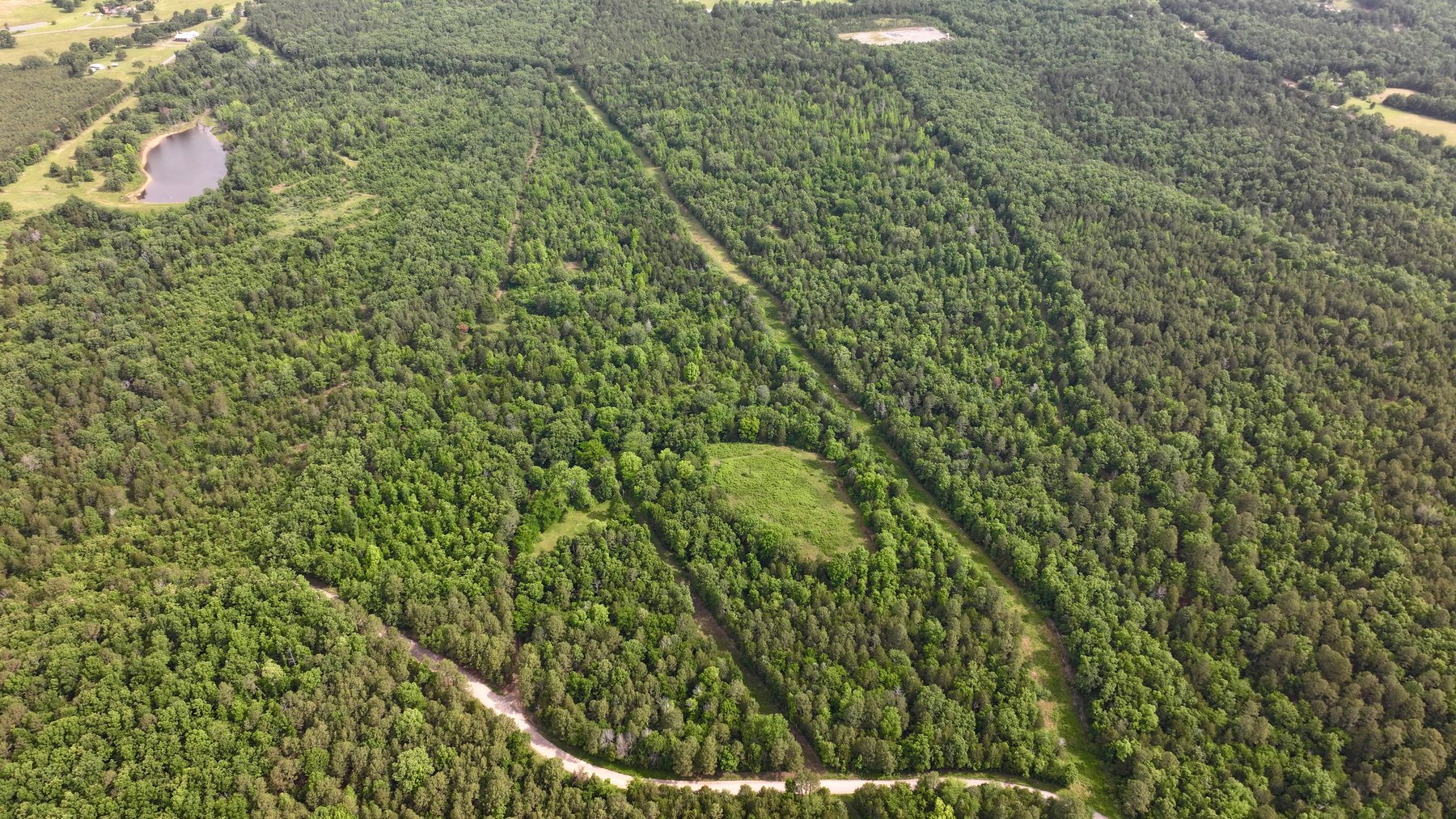 Image for Land Auction - 80+/- Acres Near Center Ridge, AR