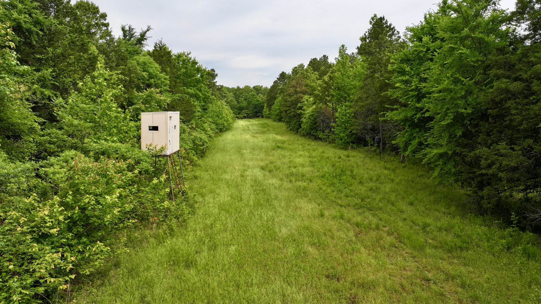 Image for Land Auction - 80+/- Acres Near Center Ridge, AR