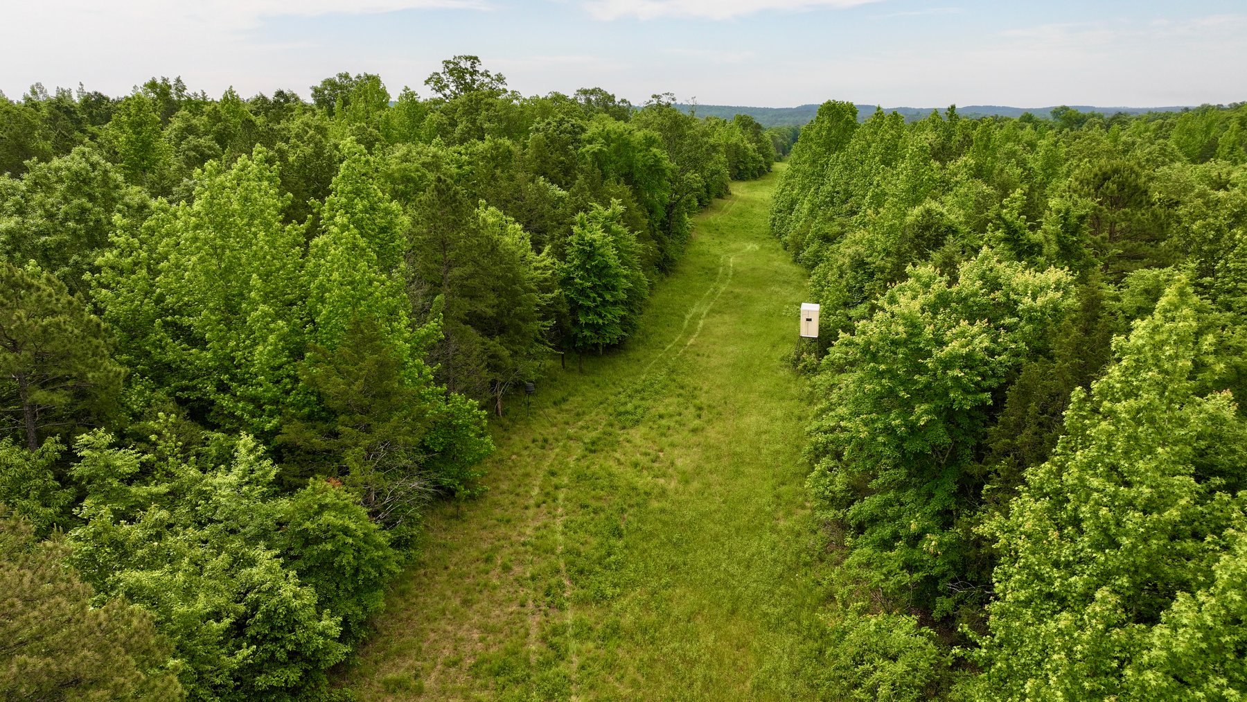 Image for Land Auction - 80+/- Acres Near Center Ridge, AR