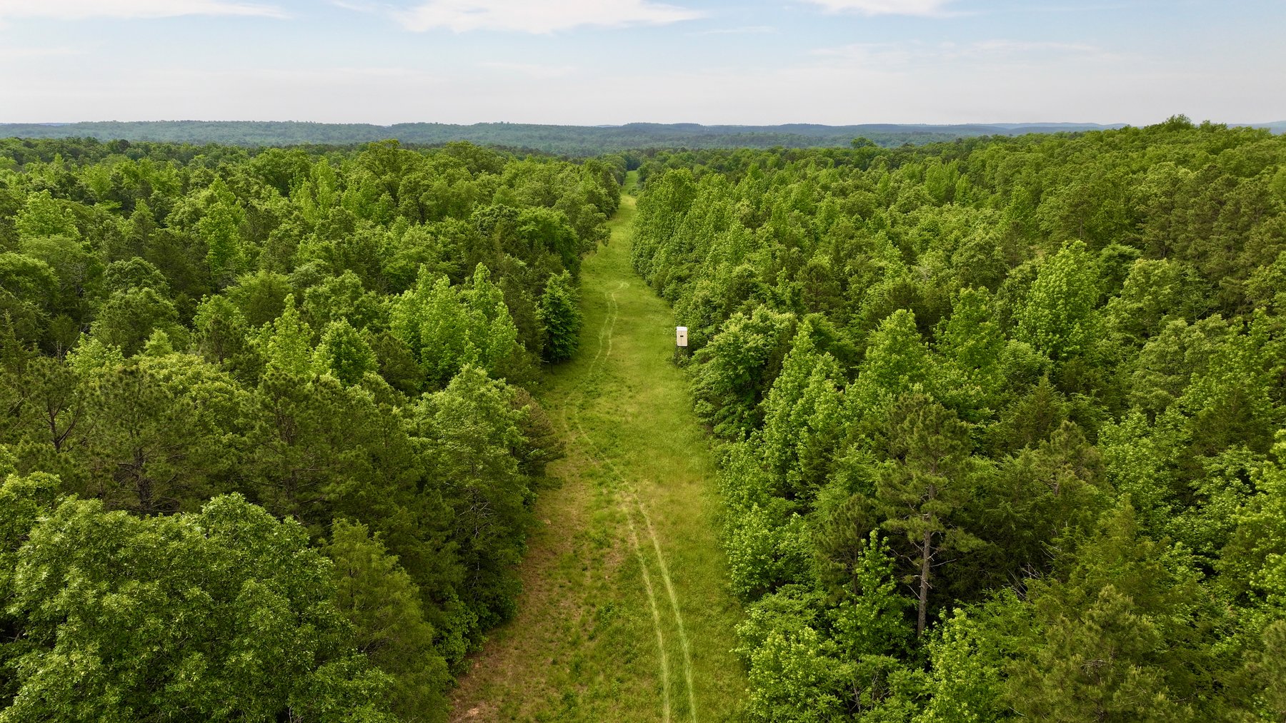 Image for Land Auction - 80+/- Acres Near Center Ridge, AR