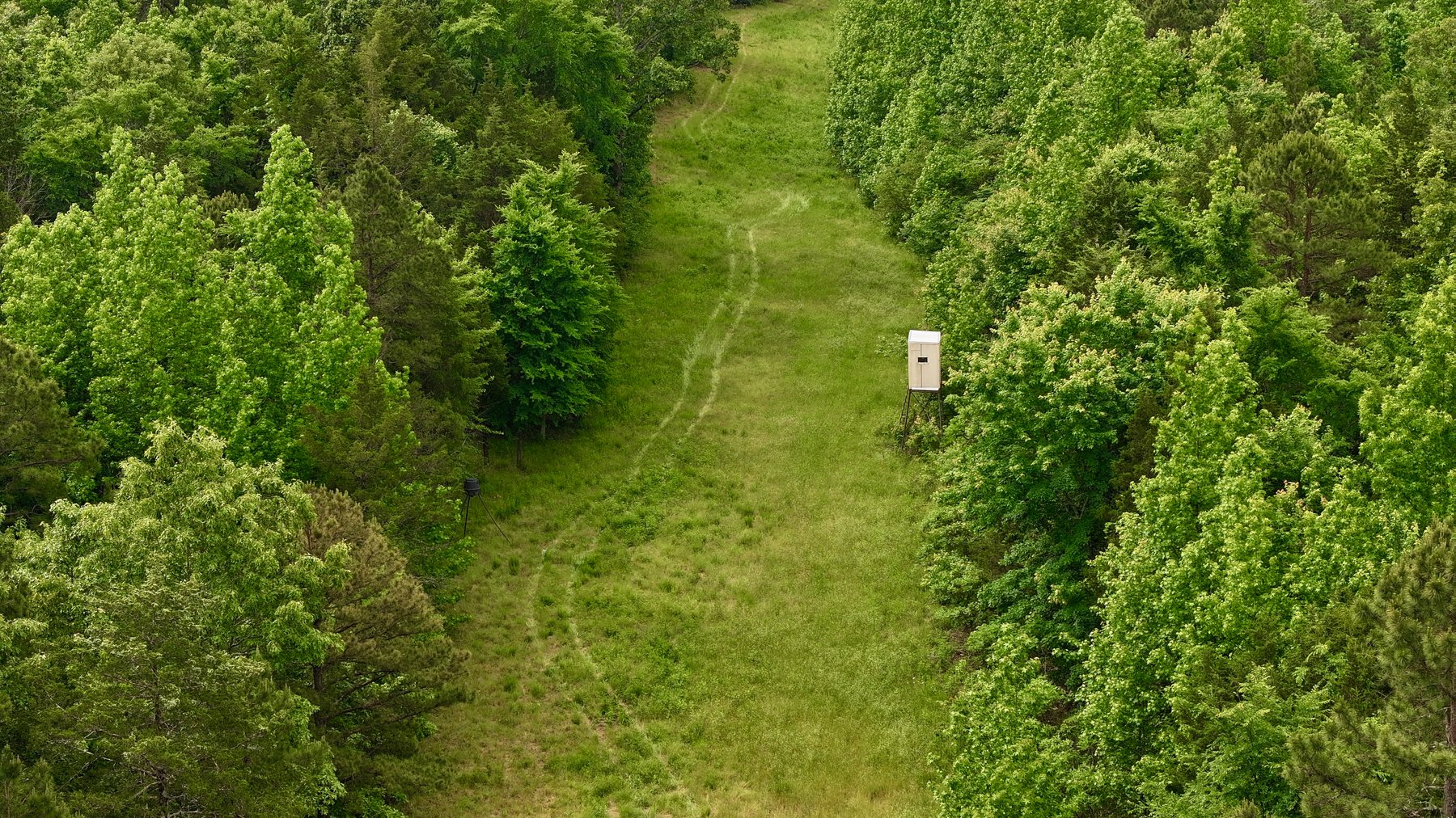 Image for Land Auction - 80+/- Acres Near Center Ridge, AR