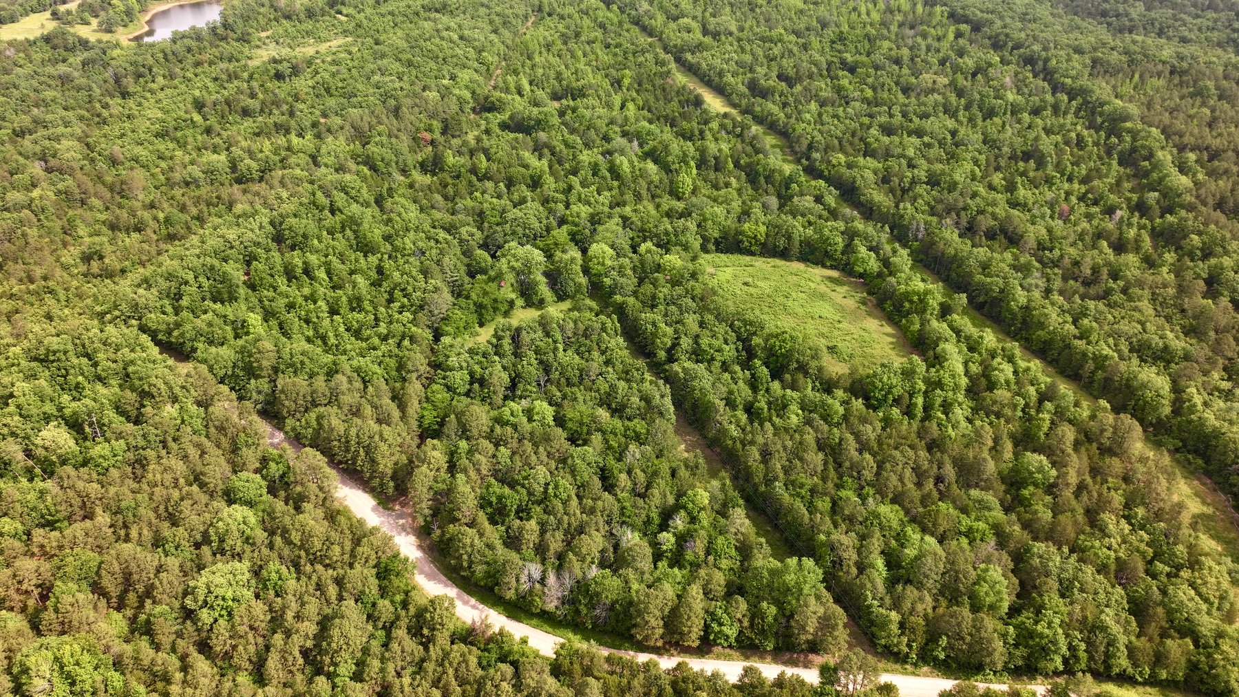 Image for Land Auction - 80+/- Acres Near Center Ridge, AR