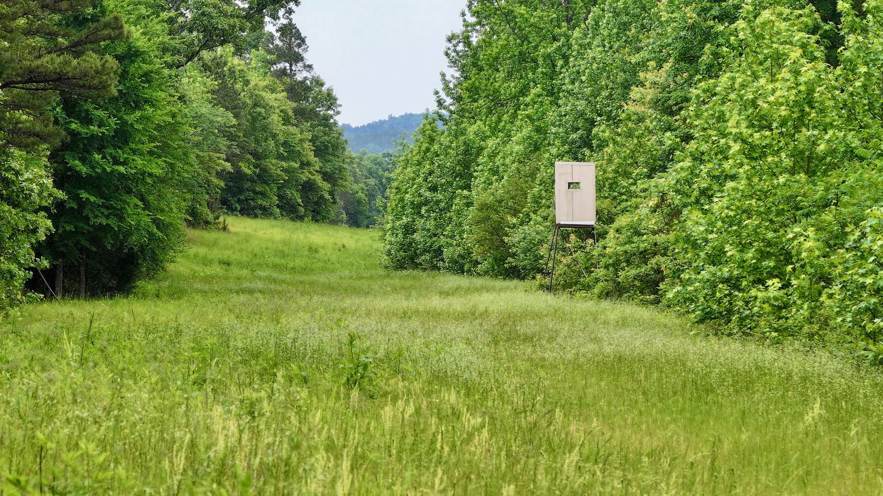 Image for Land Auction - 80+/- Acres Near Center Ridge, AR