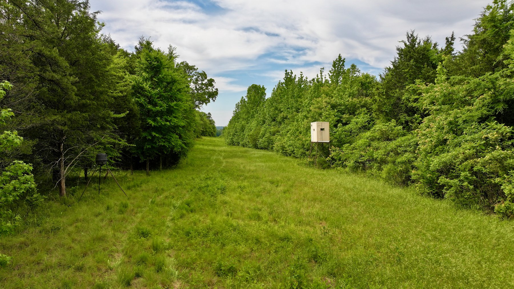 Image for Land Auction - 80+/- Acres Near Center Ridge, AR