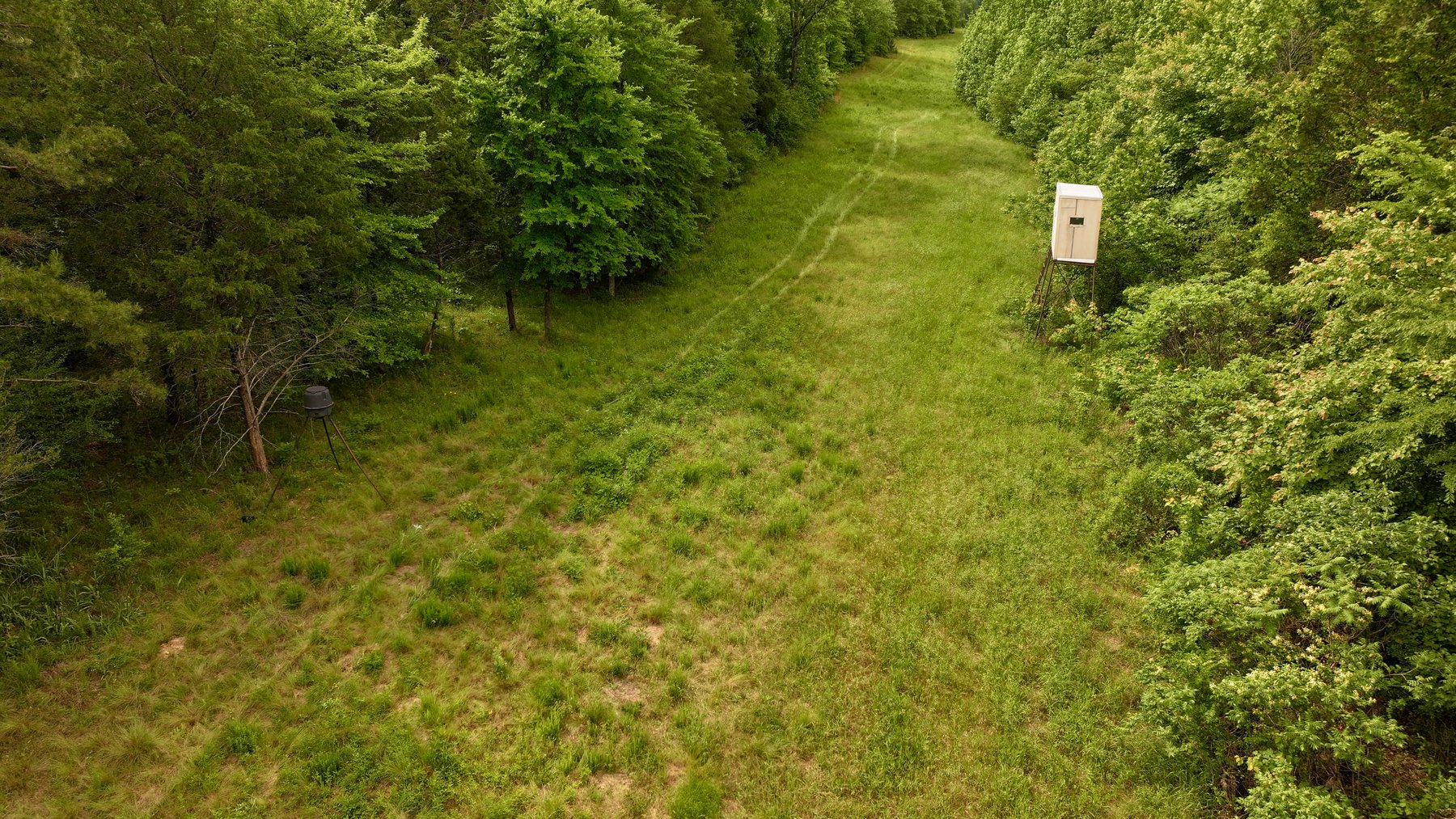 Image for Land Auction - 80+/- Acres Near Center Ridge, AR