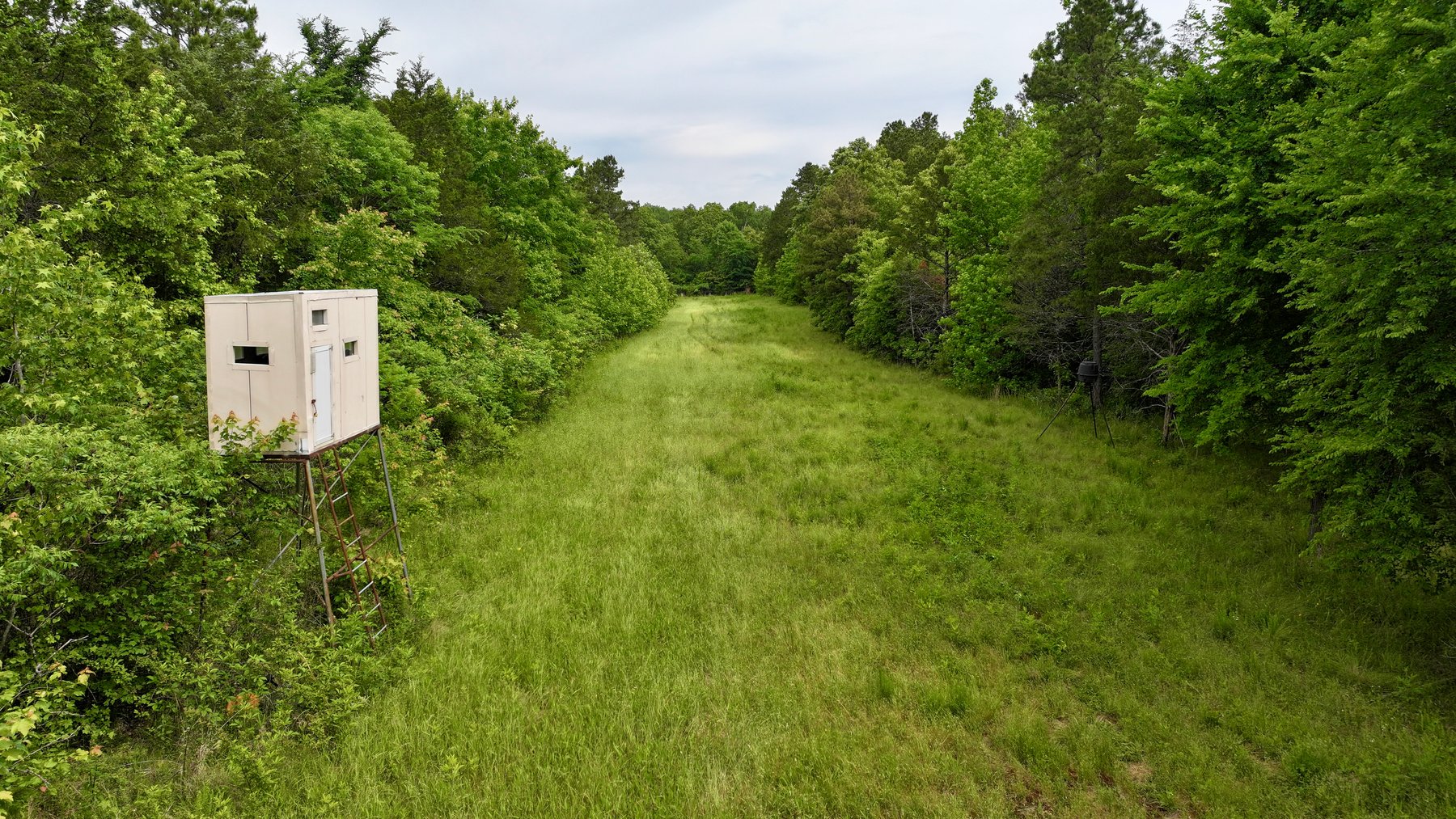 Image for Land Auction - 80+/- Acres Near Center Ridge, AR