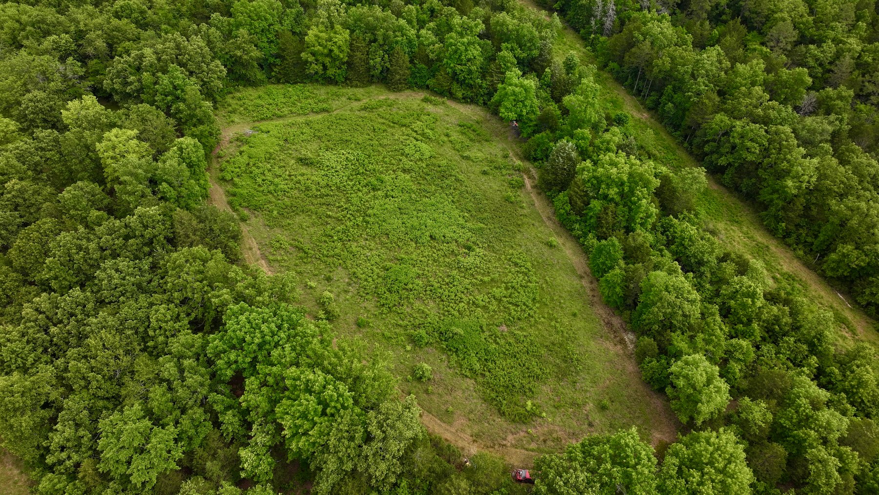Image for Land Auction - 80+/- Acres Near Center Ridge, AR