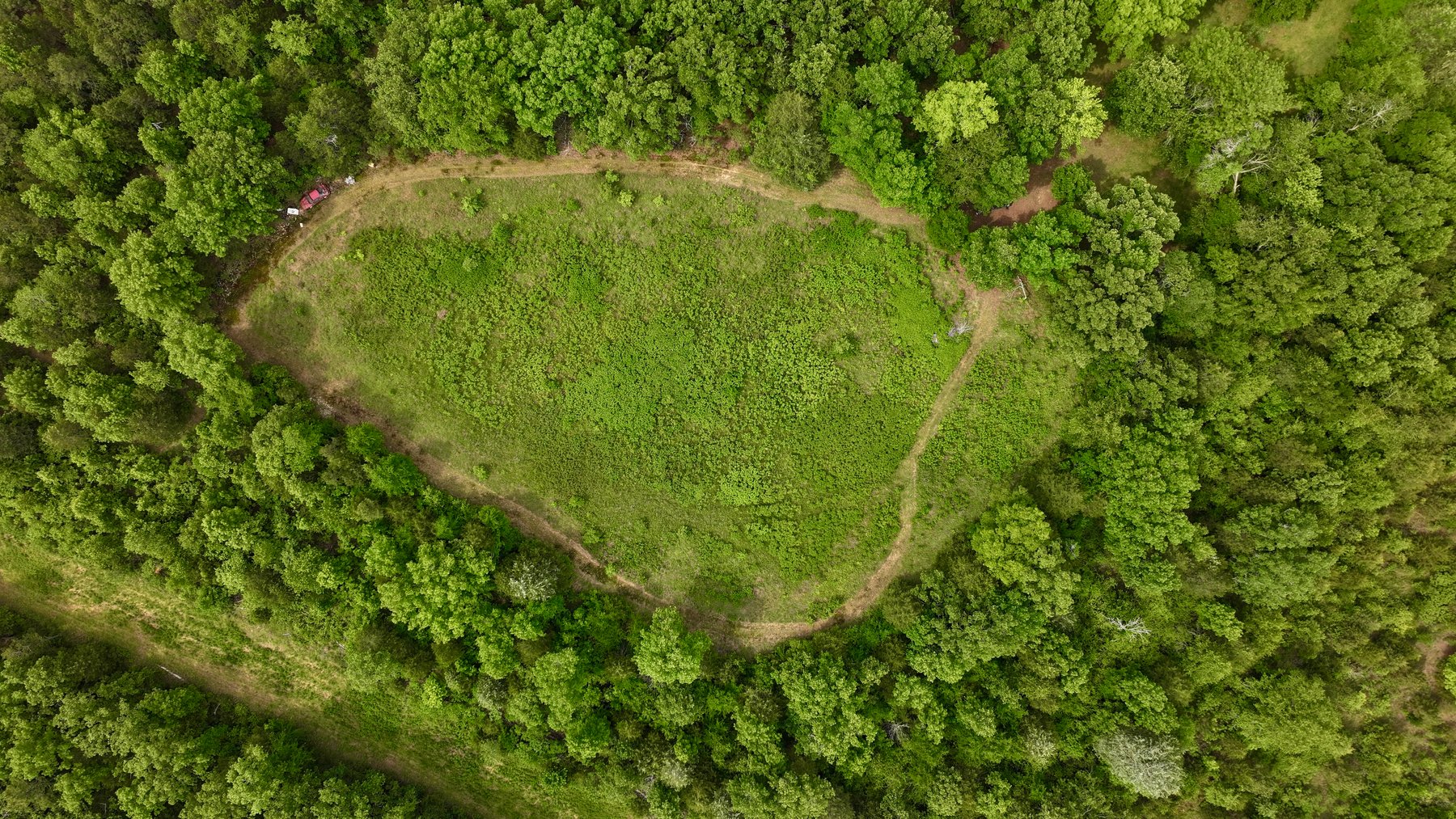 Image for Land Auction - 80+/- Acres Near Center Ridge, AR