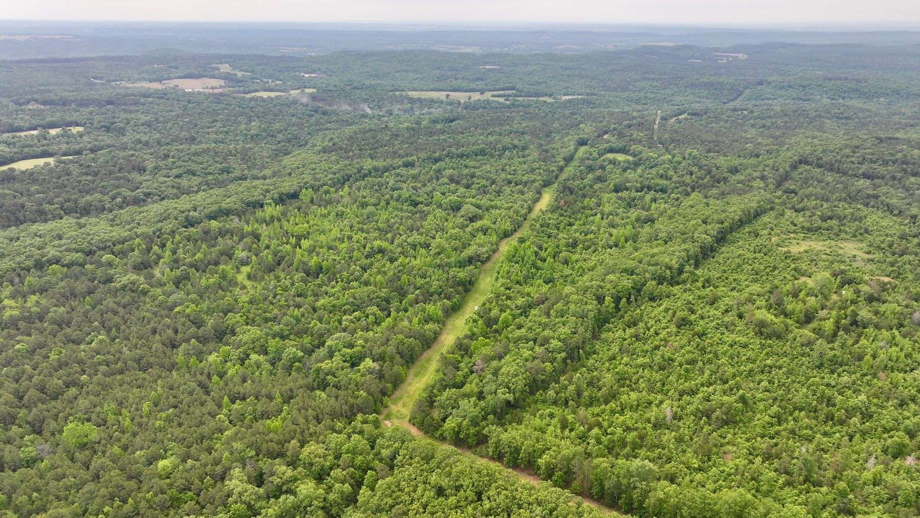 Image for Land Auction - 80+/- Acres Near Center Ridge, AR