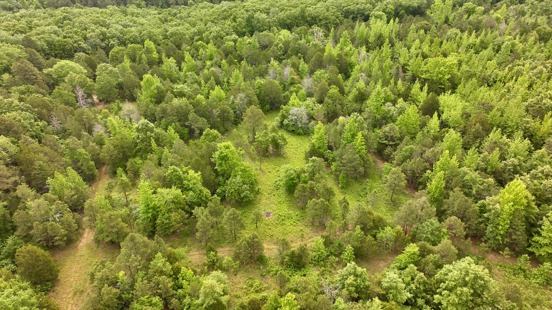 Image for Land Auction - 80+/- Acres Near Center Ridge, AR