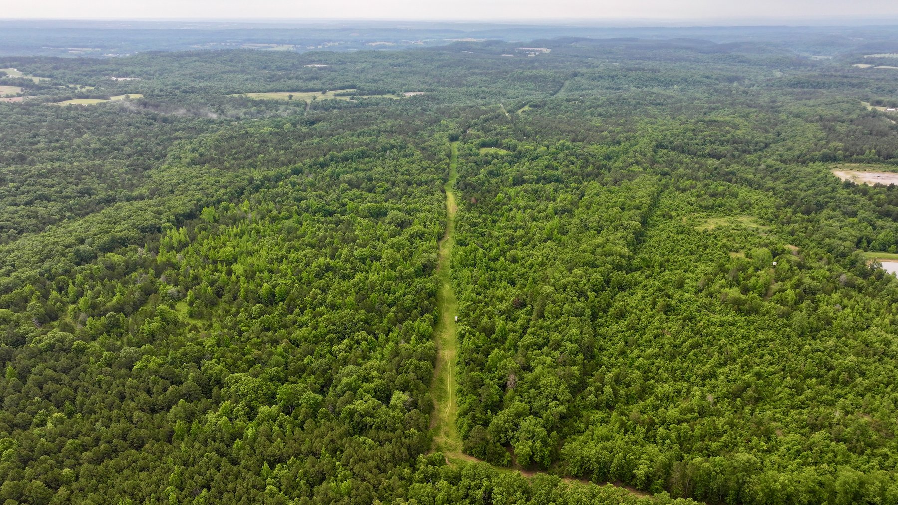 Image for Land Auction - 80+/- Acres Near Center Ridge, AR