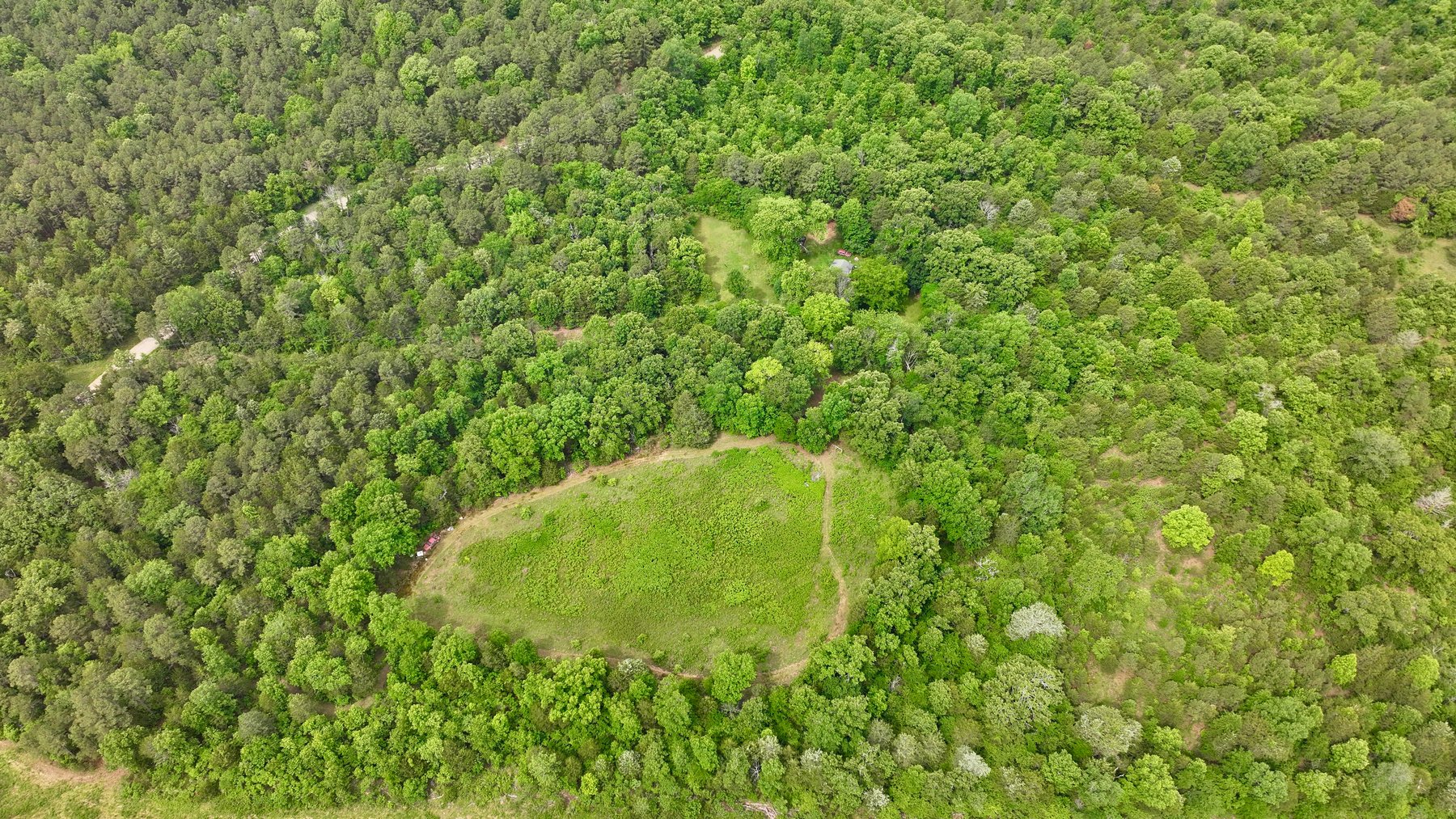 Image for Land Auction - 80+/- Acres Near Center Ridge, AR