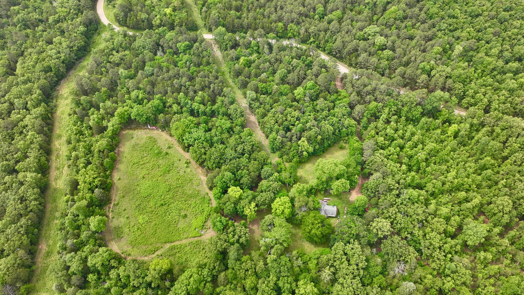 Image for Land Auction - 80+/- Acres Near Center Ridge, AR