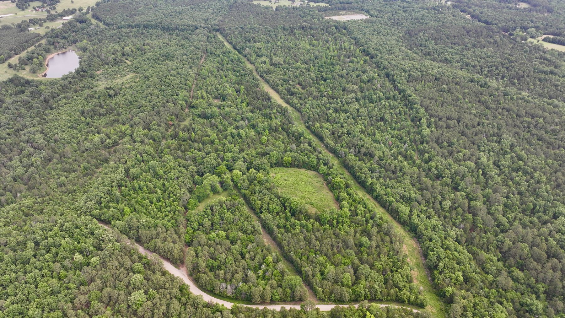 Image for Land Auction - 80+/- Acres Near Center Ridge, AR