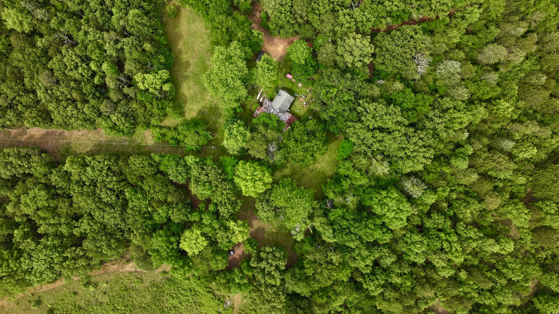 Image for Land Auction - 80+/- Acres Near Center Ridge, AR