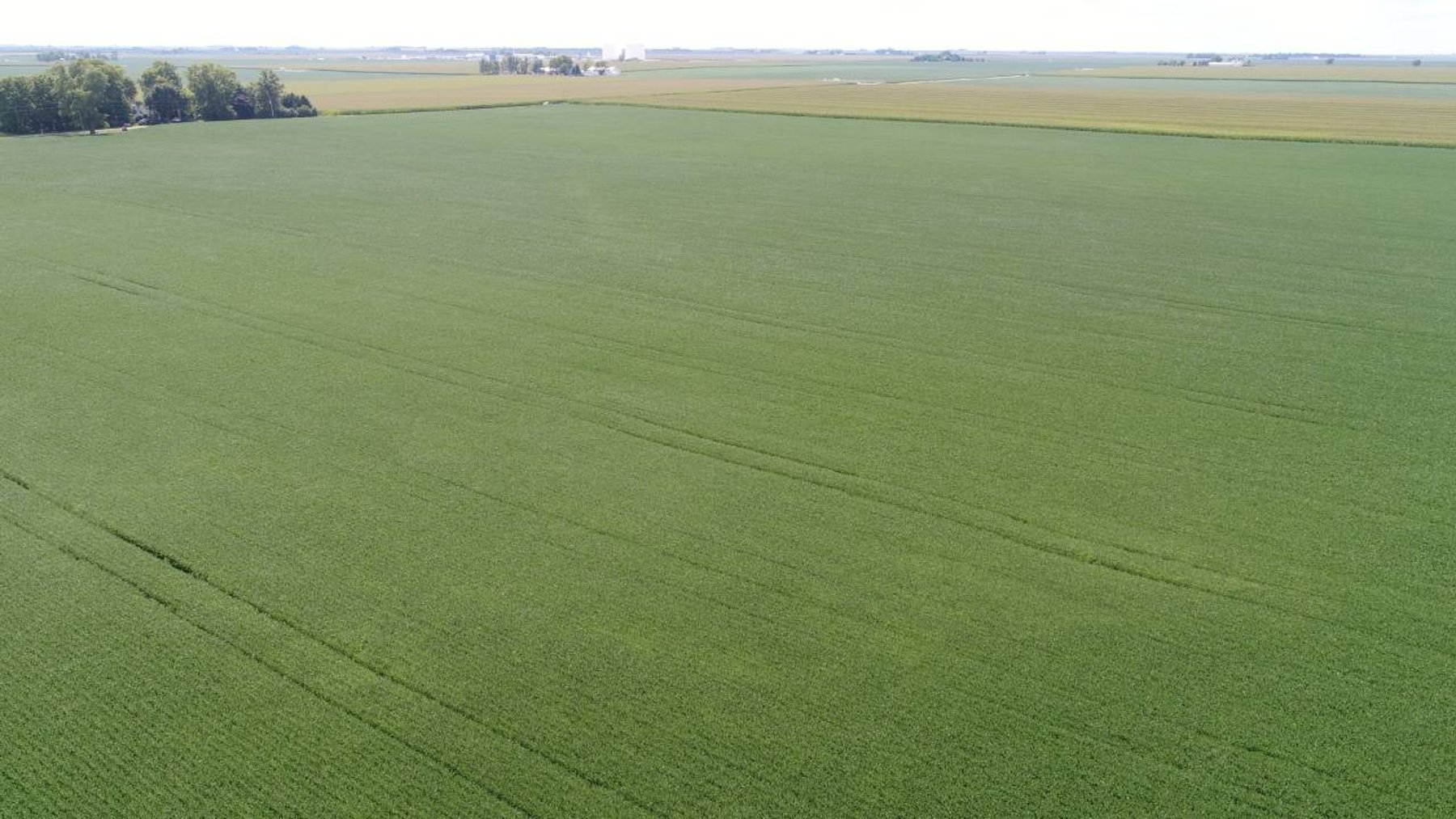 Image for Land Auction