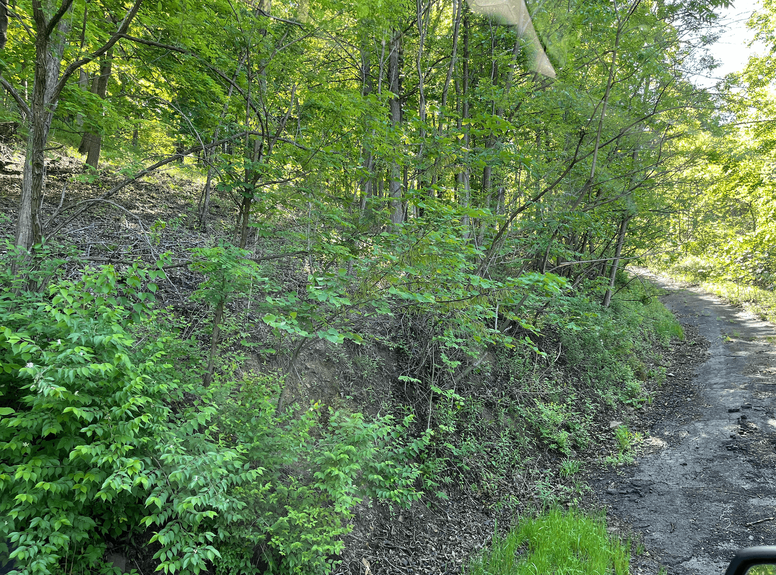 Image for Cheat Lake Lot in Mont Chateau Estates! Lot 20 or .2885 AC The View At Cheat Lake, Mont Chateau Estates. Bidding Begins Closing on December 11th, 2025, at 6:00 p.m.