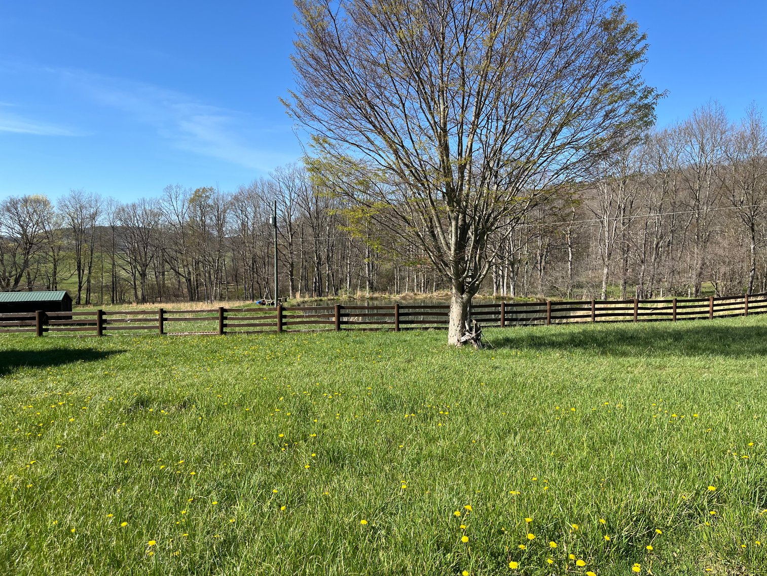 Image for Preston County Hobby Farm! 5.003 +/- Acres with 2 Bedroom House and 2 Bedroom Apartment, Detached Garage, Animal Stable and Fishing Pond in Preston County