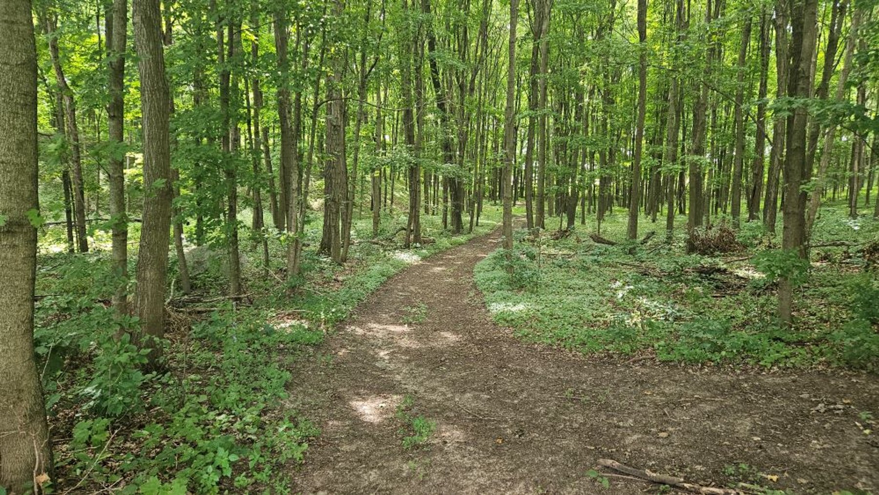 Image for 122 Acre Farm Adams Road, Town of Ashippun, Dodge County