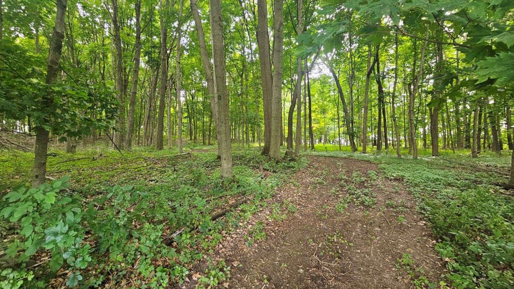 Image for 122 Acre Farm Adams Road, Town of Ashippun, Dodge County