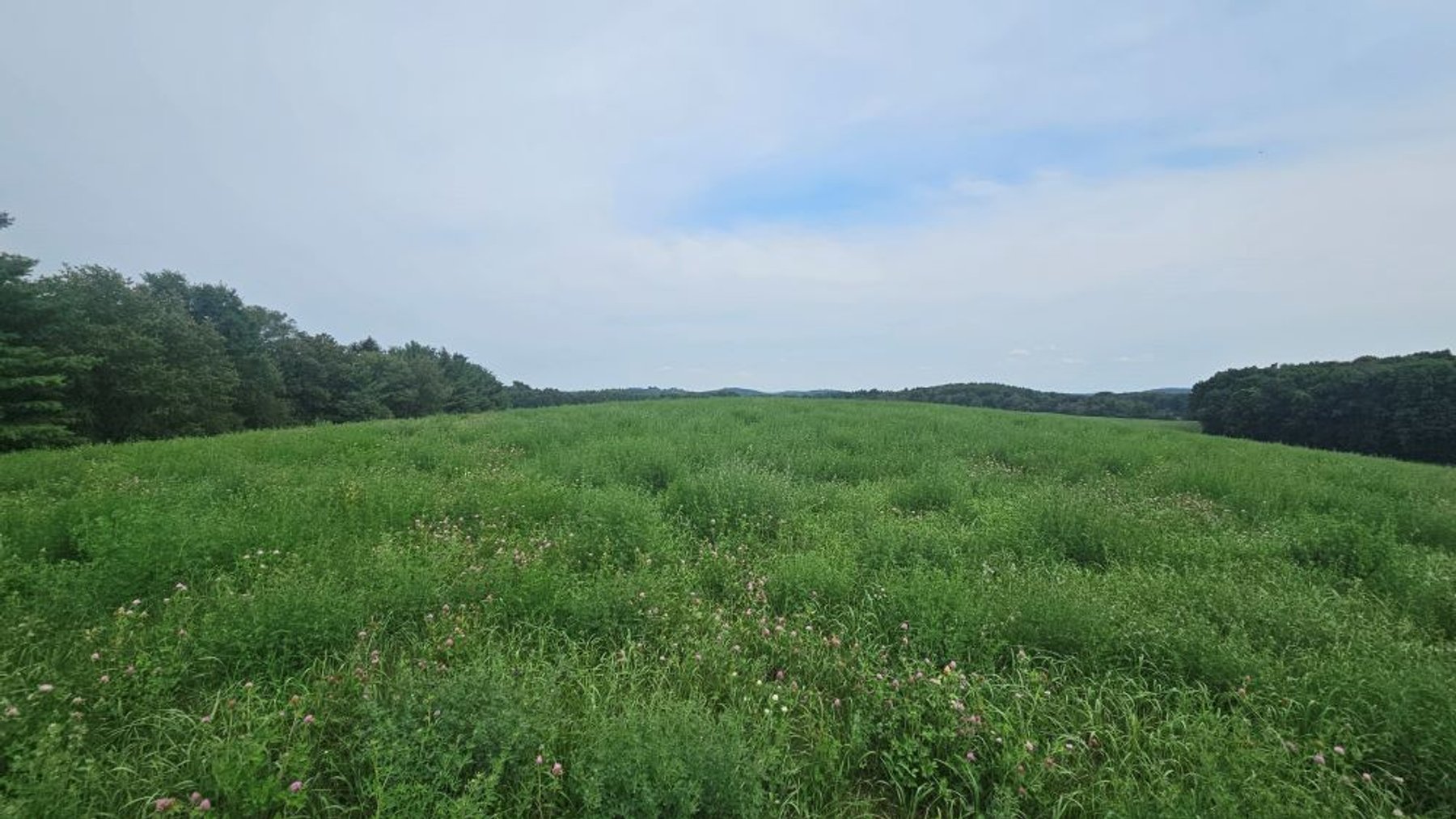Image for 122 Acre Farm Adams Road, Town of Ashippun, Dodge County