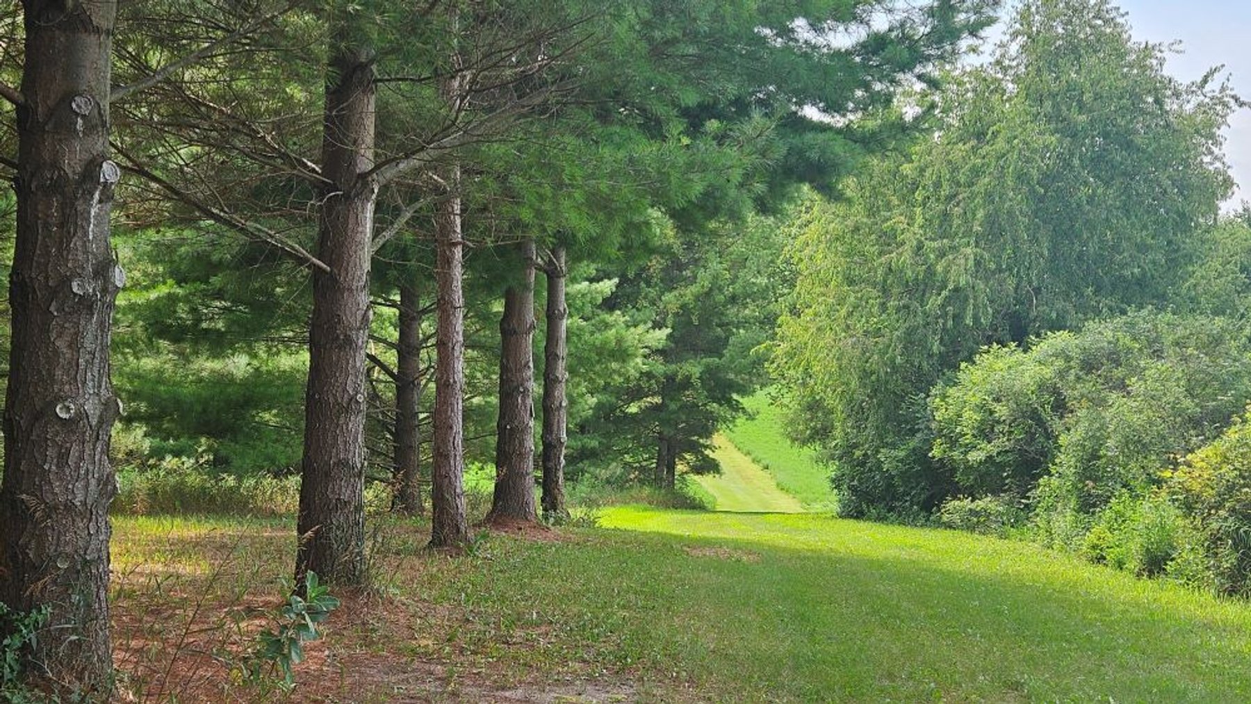 Image for 122 Acre Farm Adams Road, Town of Ashippun, Dodge County