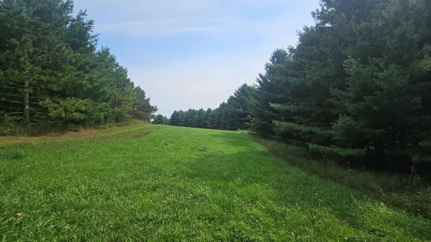 Image for 122 Acre Farm Adams Road, Town of Ashippun, Dodge County