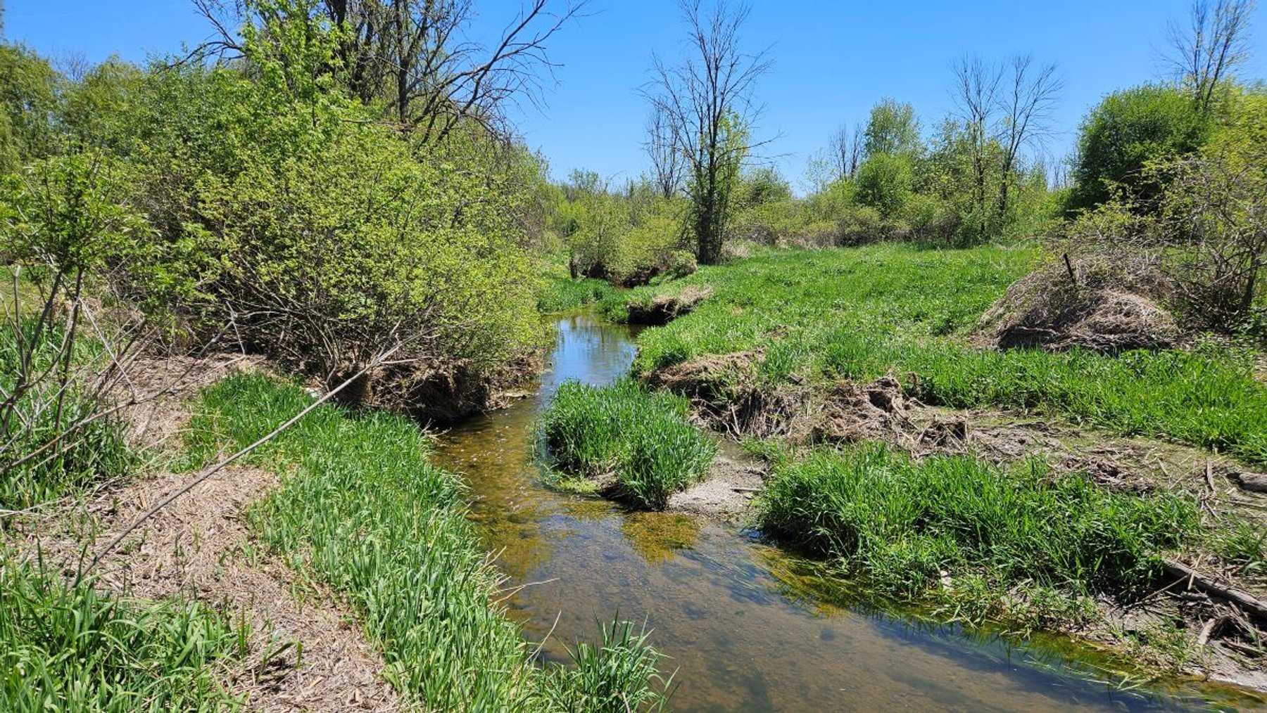 Image for 16+ Acres of Quiet Country Living