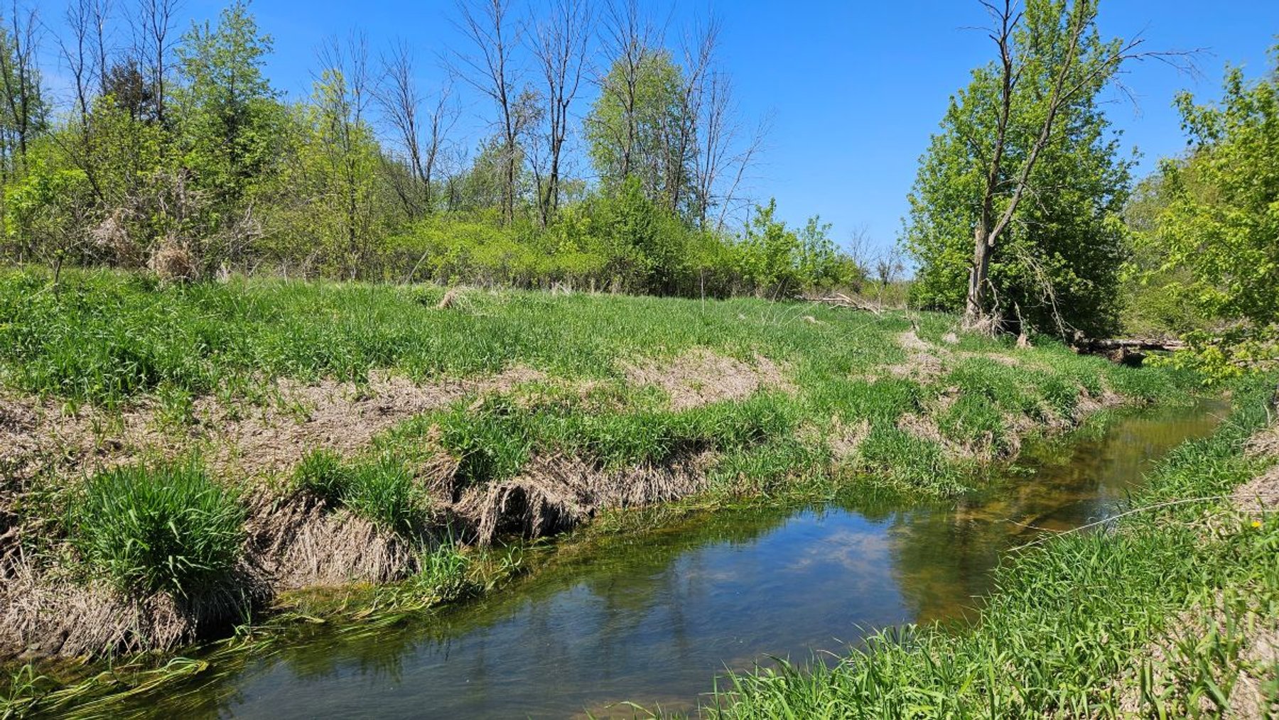 Image for 16+ Acres of Quiet Country Living