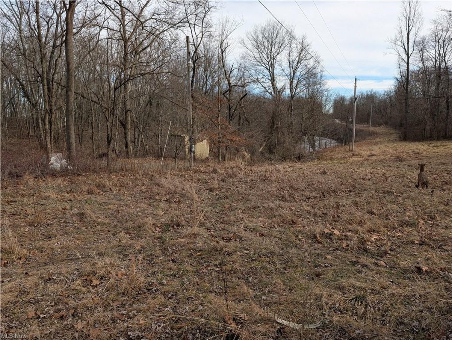 Image for Building Site in Country