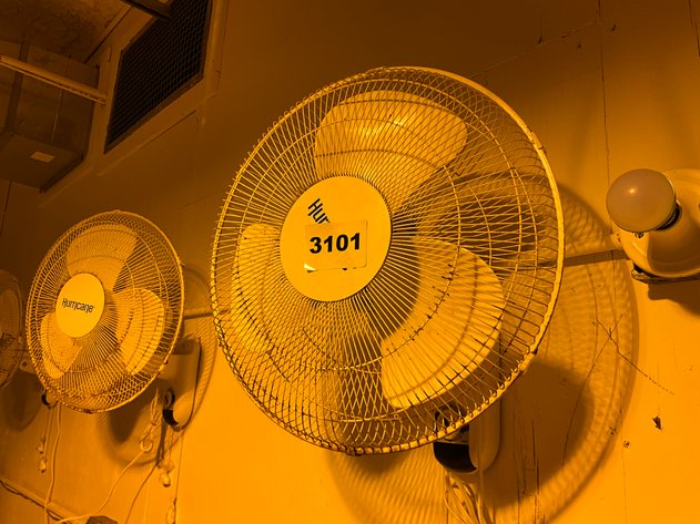 Image for Industrial & Greenhouse Facility Auction