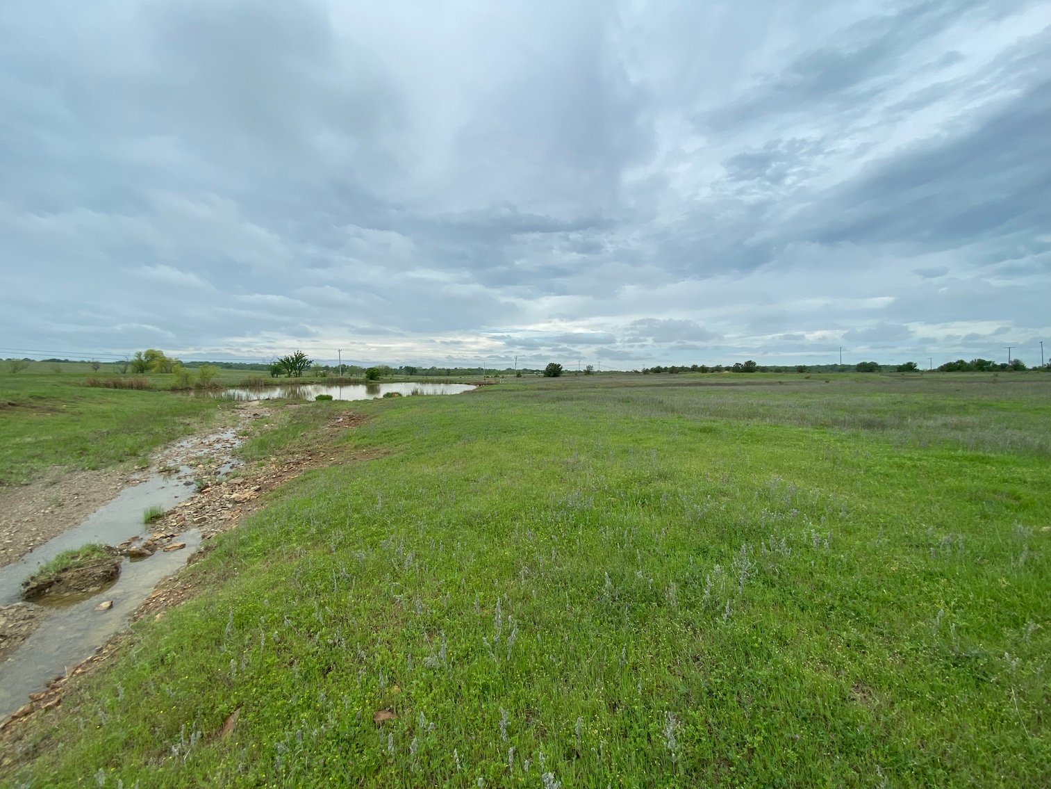 Image for Guardian/Personal Representative’s Real Estate Land Auction - Skiatook